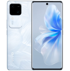 vivo v30