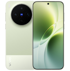vivo X300s